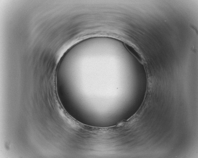 X0000103291530200808291057