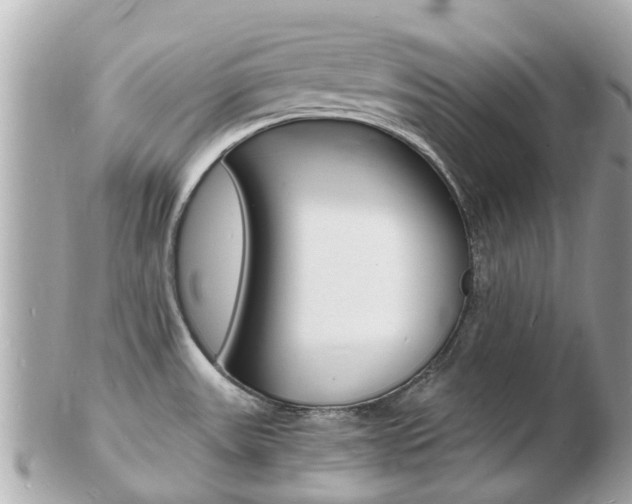 X0000103291531200808291057