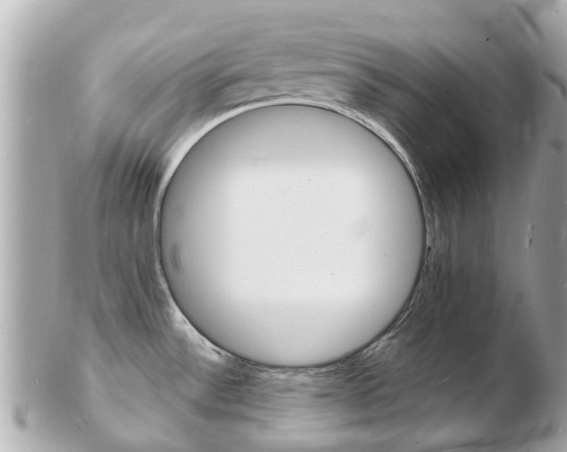 X0000103291532200808291057