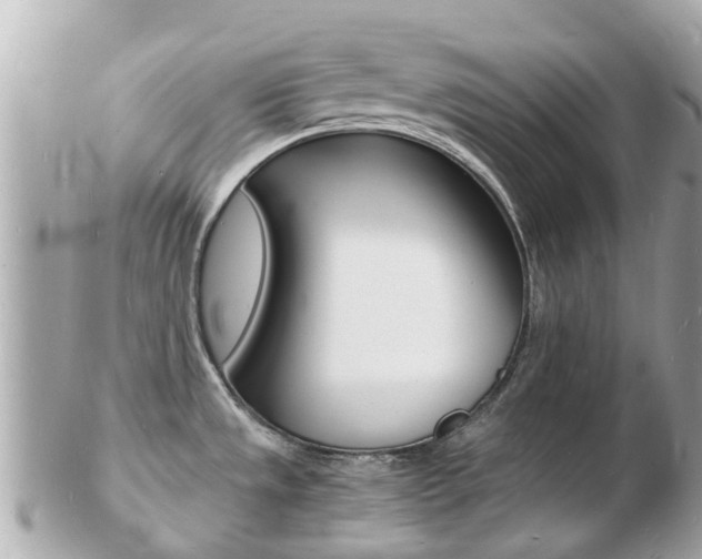 X0000103291533200808291057