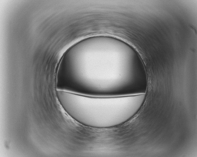 X0000103291534200808291057