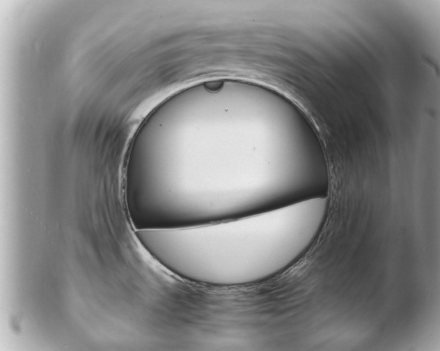 X0000103291535200808291057