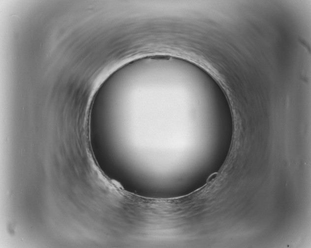 X0000103291536200808291057