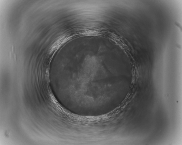 X0000103290002200808291343