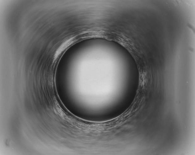 X0000103290004200808291343