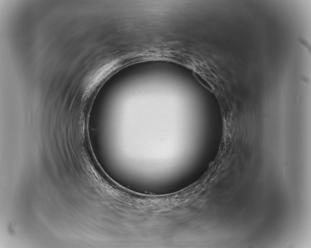 X0000103290005200808291343