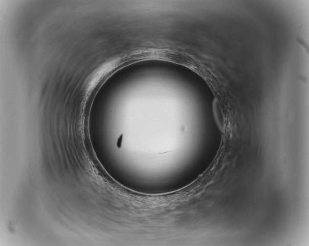 X0000103290006200808291343