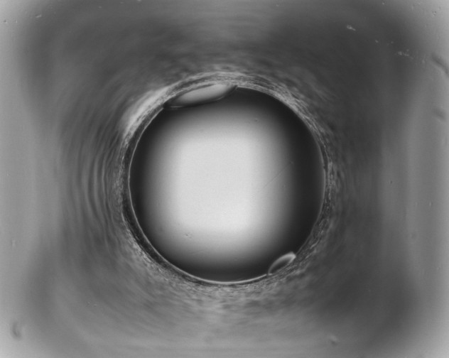 X0000103290007200808291343