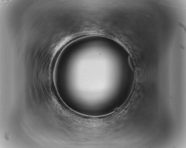 X0000103290008200808291343