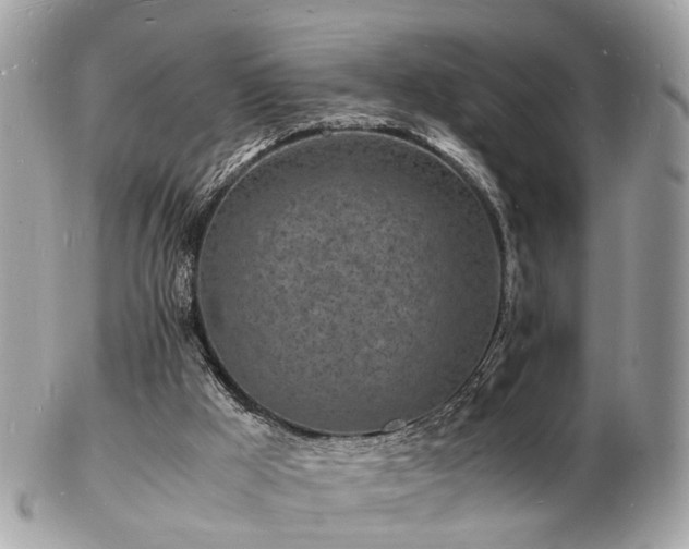 X0000103290009200808291343