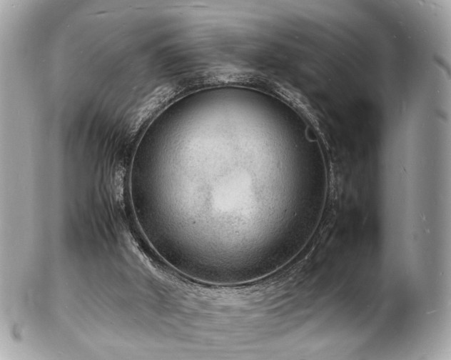 X0000103290010200808291343