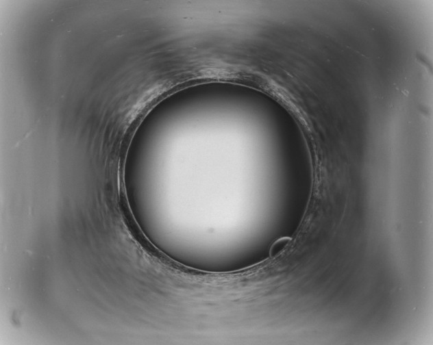 X0000103290011200808291343