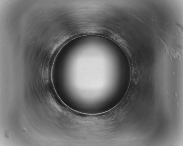 X0000103290012200808291343