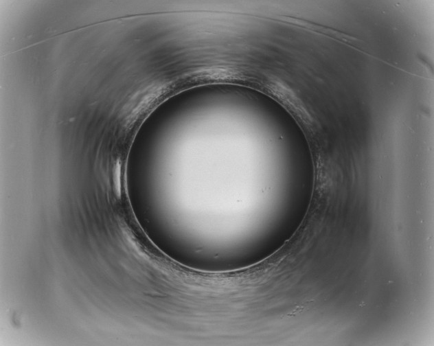 X0000103290014200808291343