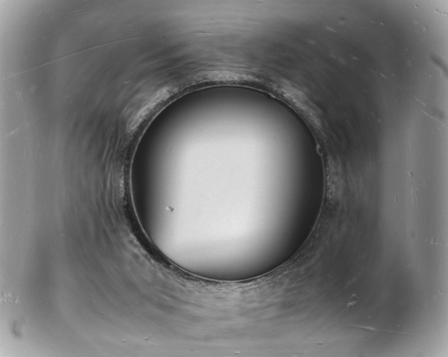 X0000103290015200808291343