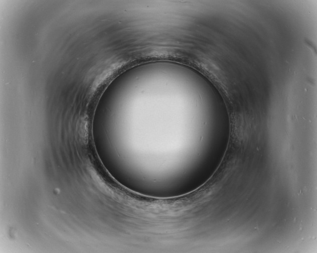 X0000103290016200808291343