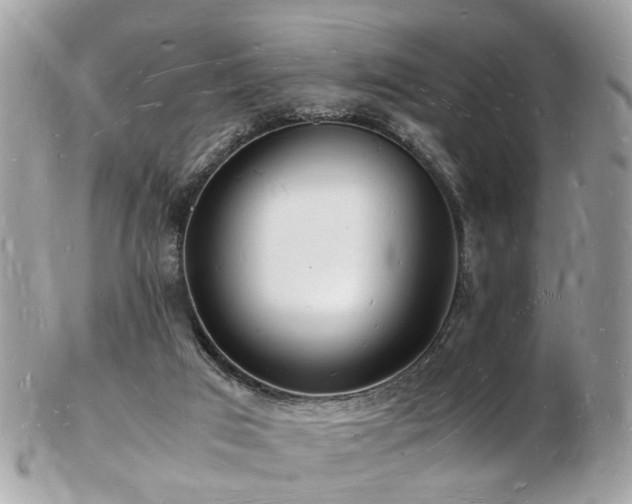 X0000103290017200808291343