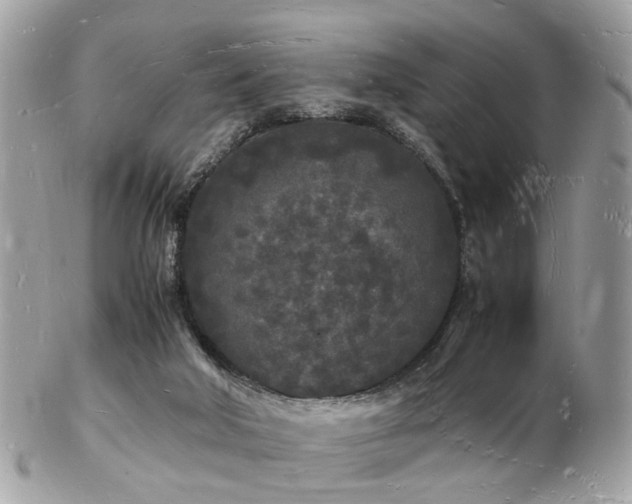 X0000103290018200808291343