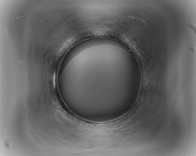 X0000103290019200808291343