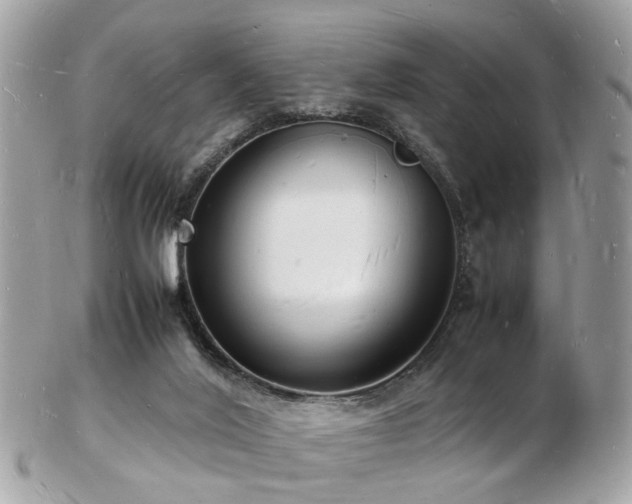 X0000103290020200808291343