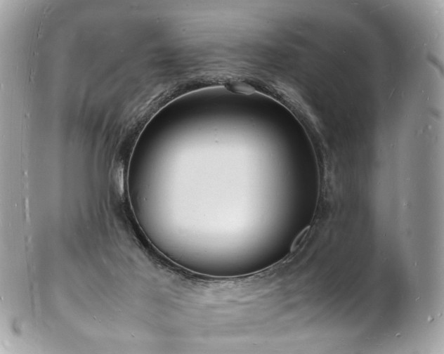 X0000103290021200808291343