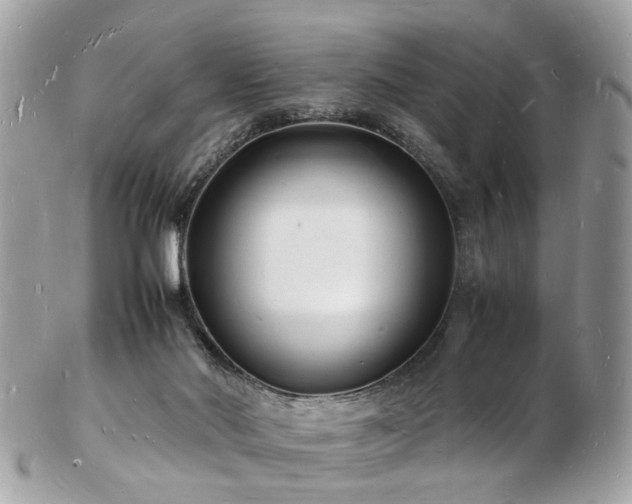 X0000103290022200808291343