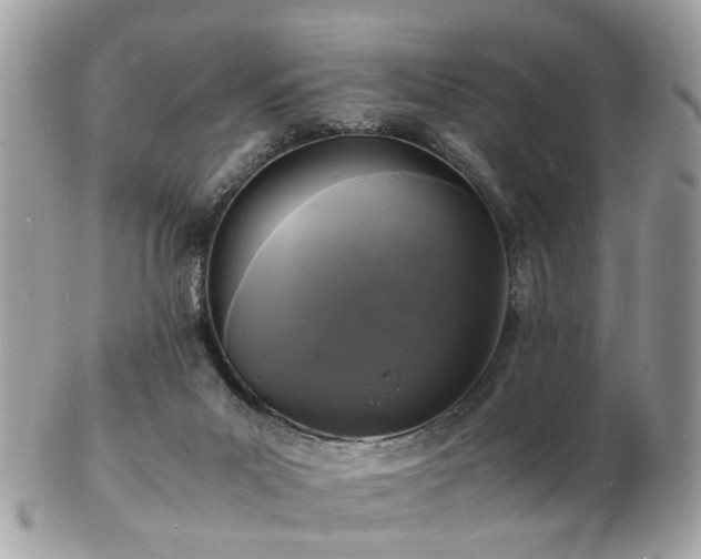 X0000103290023200808291343