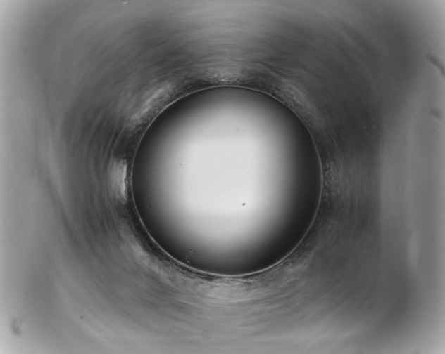 X0000103290024200808291343