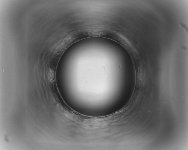 X0000103290025200808291343