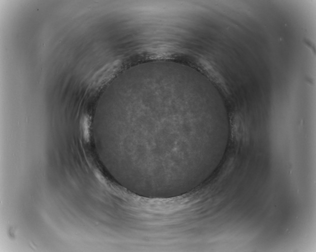 X0000103290026200808291343