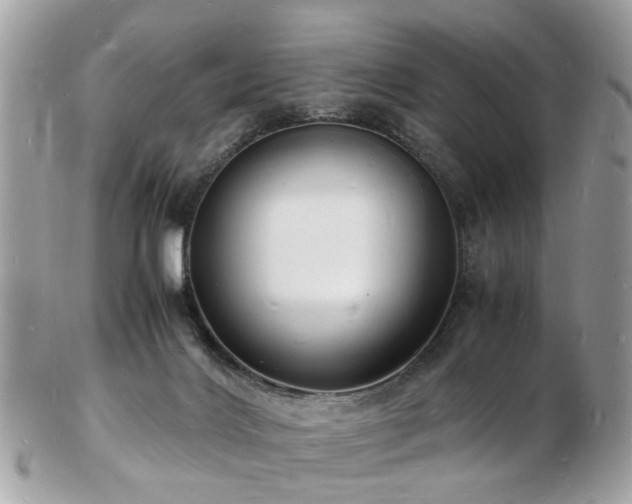 X0000103290028200808291343