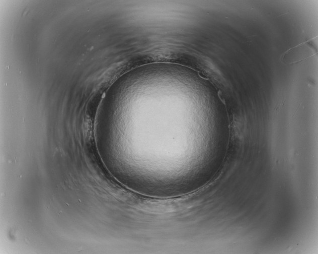 X0000103290029200808291343