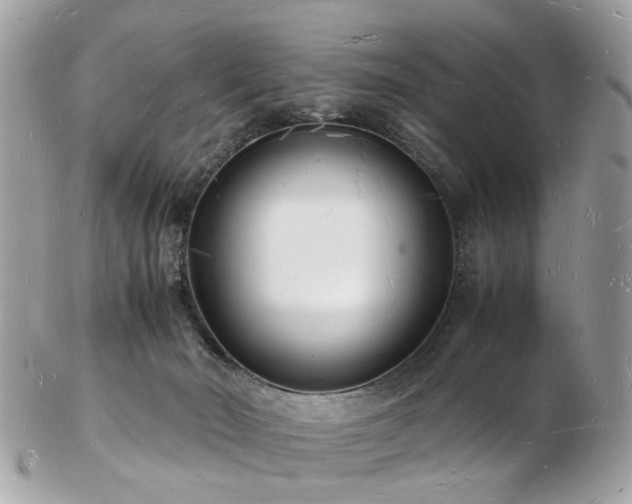 X0000103290030200808291343