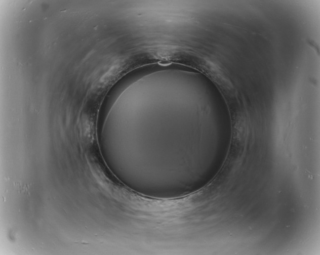 X0000103290031200808291343