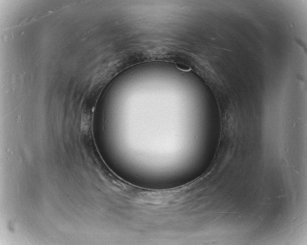 X0000103290033200808291343