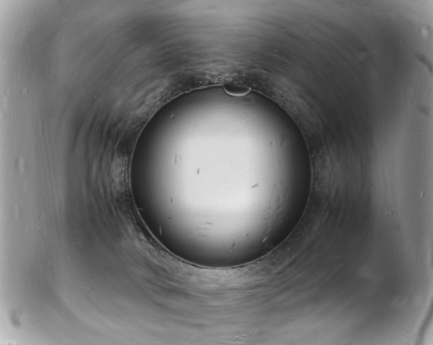 X0000103290034200808291343