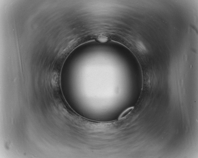 X0000103290036200808291343