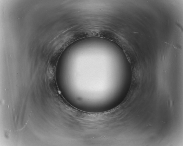 X0000103290037200808291343