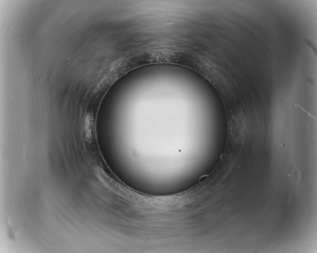 X0000103290038200808291343