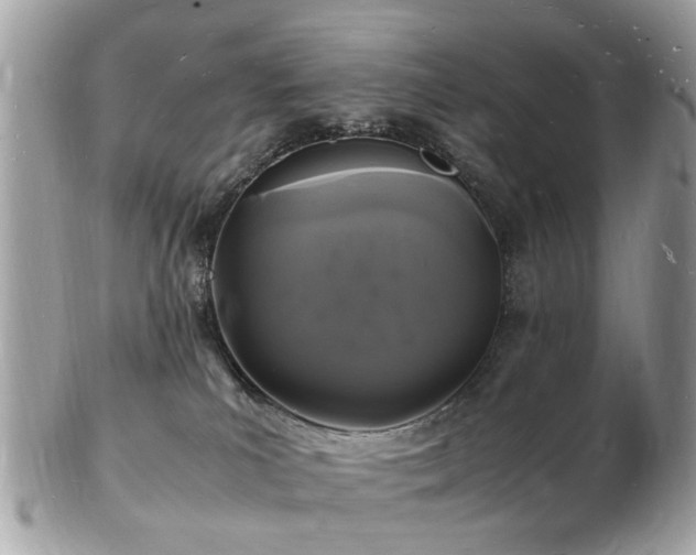 X0000103290039200808291343