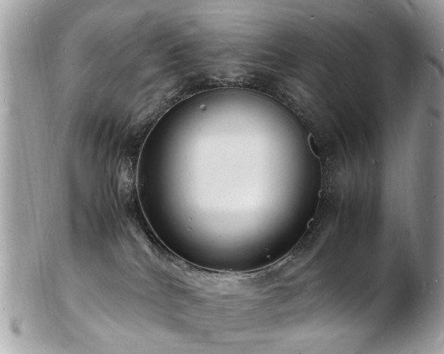 X0000103290040200808291343