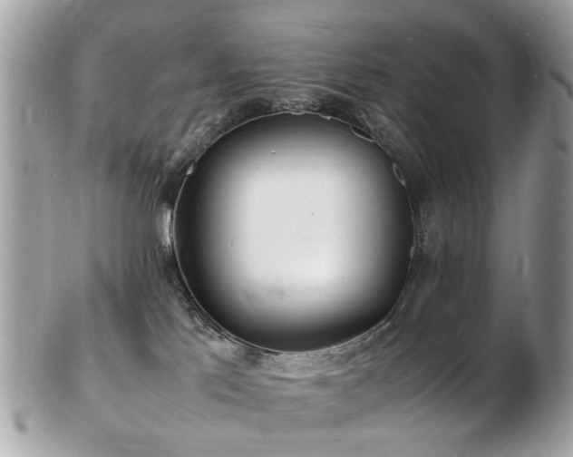 X0000103290041200808291343