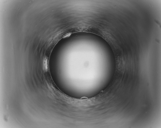 X0000103290042200808291343