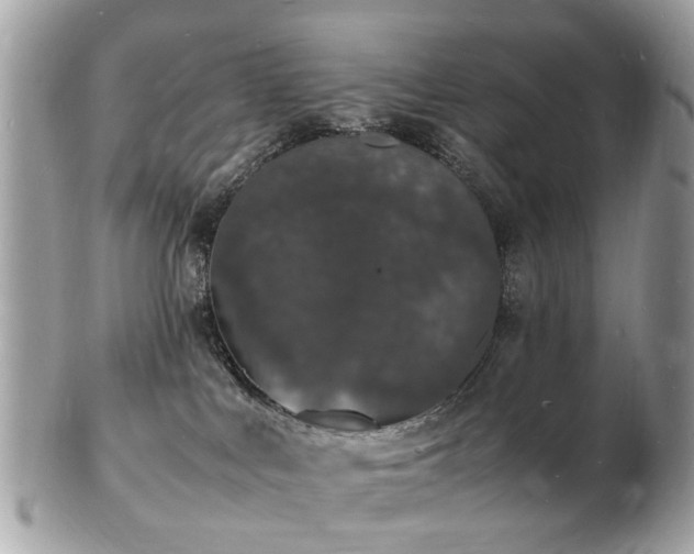 X0000103290043200808291343