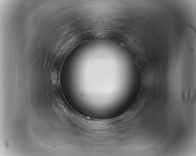 X0000103290044200808291343