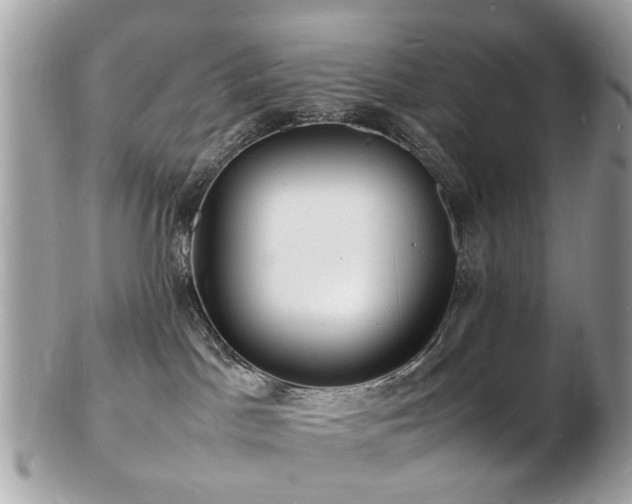 X0000103290045200808291343