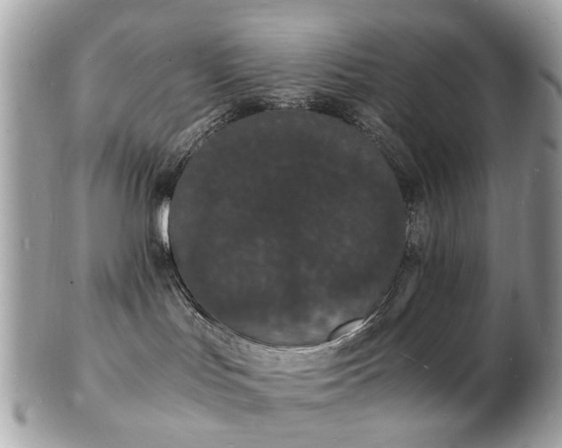 X0000103290047200808291343