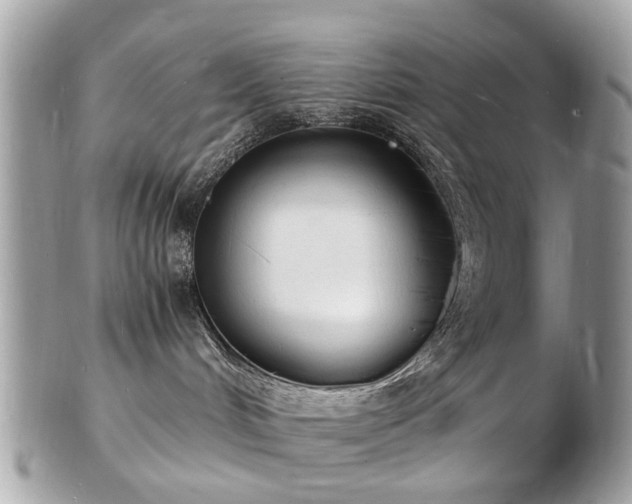 X0000103290048200808291343