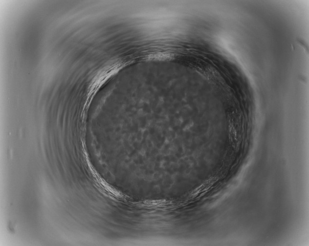 X0000103290049200808291342