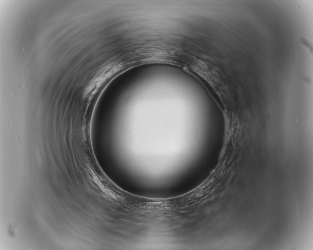 X0000103290050200808291342